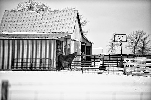 Horses and Hoop